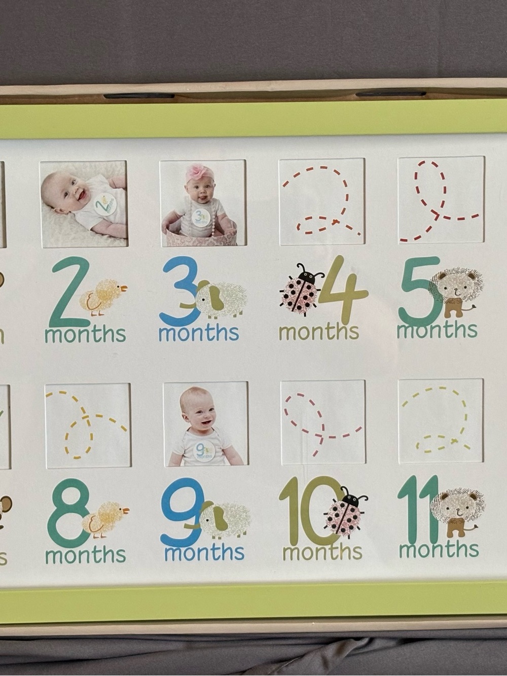 Fetco Home Decor Darling 12-month collage frame with a lime green border